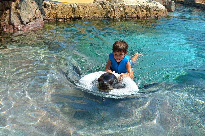 Aqua Natura Water Park Admission Ticket in Benidorm