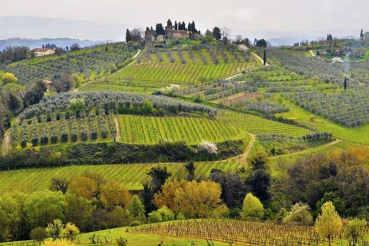 Private tour from Florence to Cortona and Arezzo