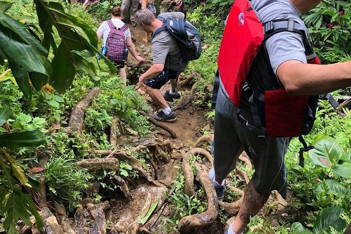 El Yunque Rainforest with Waterslides and Transport from San Juan