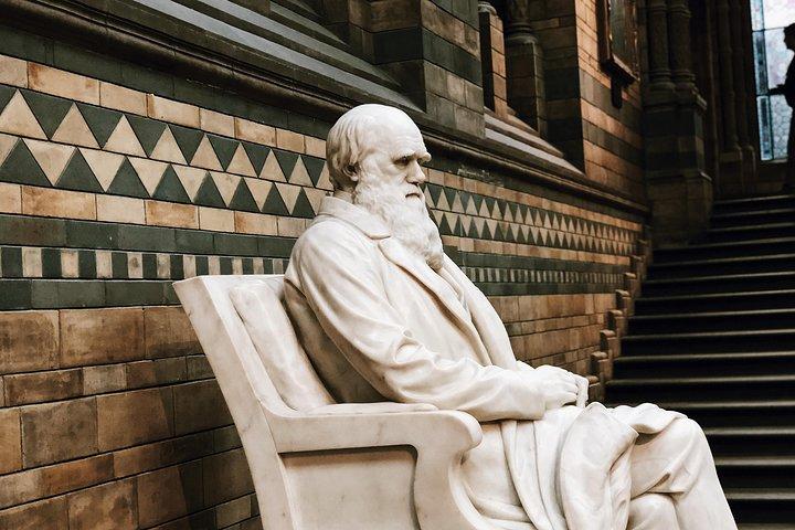 Natural History Museum London Guided Tour Semi-Private 8ppl Max