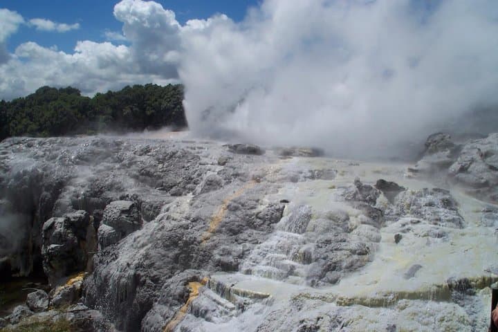 Rotorua Small-Group Day Tour from Auckland