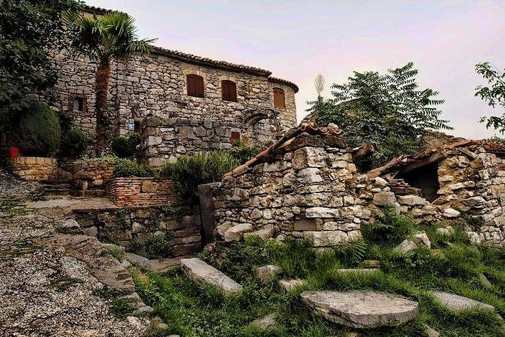 Flavours of Istria Tasting Experience from Koper