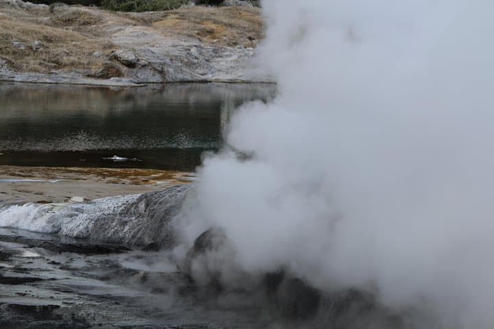 Rotorua and Waitomo Caves Day Trip from Auckland -Smaller Groups