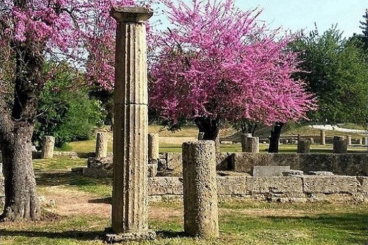 Olympia Shore Ex: Premium Private Package -Tickets & Olive Market