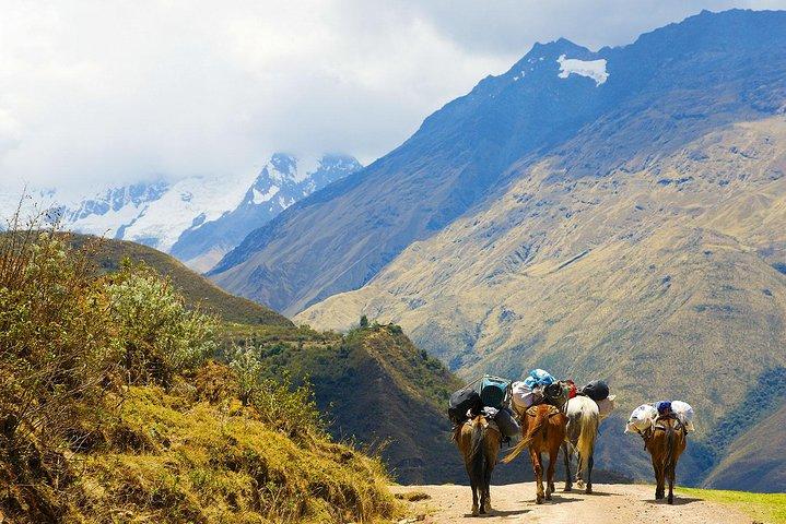 Salkantay Trek to Machu Picchu in 4 Days