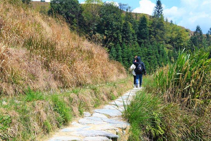 Mini Group: Longji Rice Terraced Fields and Minority Villages Tour