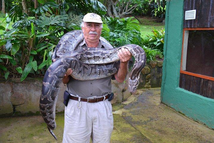 Phezulu Cultural Village & Reptile Park Day Tour from Durban