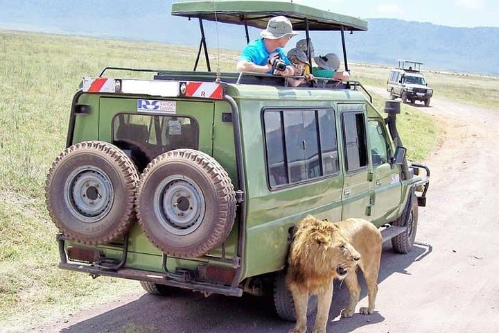 Half Day Nairobi National Park Guided Tour From Nairobi
