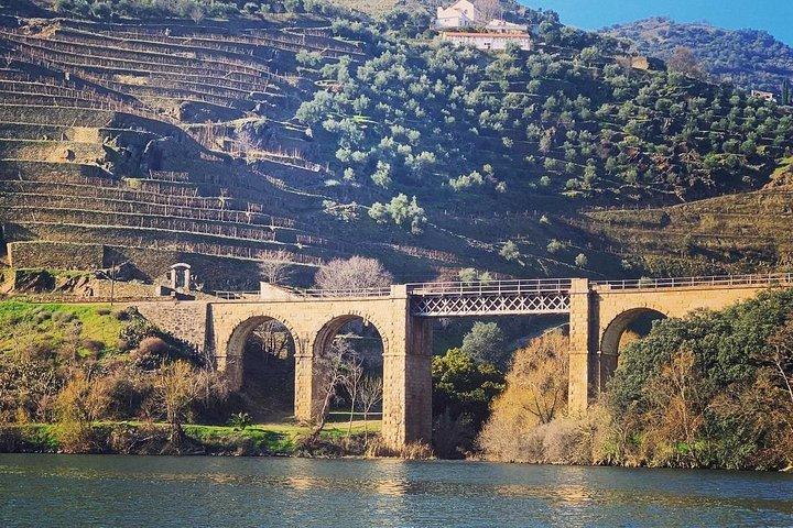 Douro Valley Private Wine and Food Tour From Porto