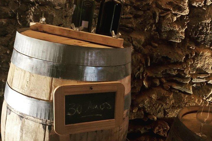 Douro Valley Private Wine and Food Tour From Porto