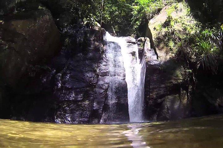 Horto Waterfalls Circuit Adventure Tour in Tijuca National Park
