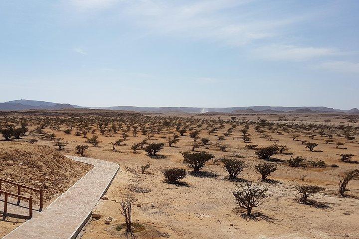 UNESCO World Heritage sites, Land of Frankincense (موقع اليونسكو)