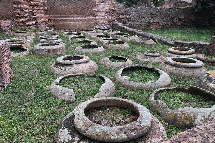 Private tour of Ostia, the ancient city harbor, by van with a PhD archaeologist