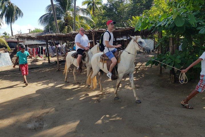 Wild & Free: Lagoon Boat, Beach Horseback, Crocs & Turtle Release