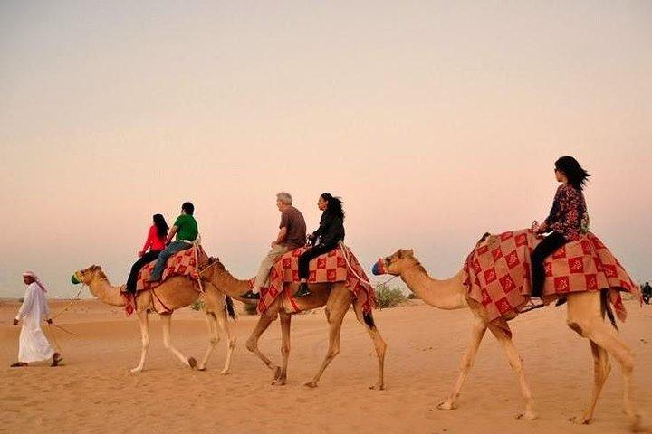 Exciting Dubai Dune Buggy Safari & Sand Boarding & BBQ Dinner & Belly Dance Show