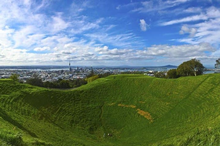Auckland Tour- Half Day Must-See Sights