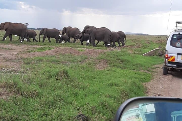 Amboseli National Park Full Day Guided Tour