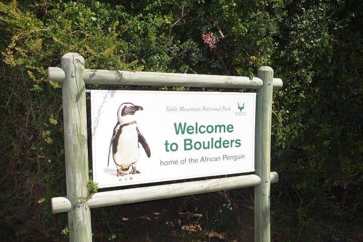 Cape of Good Hope & Penguin small group tour from Cape Town