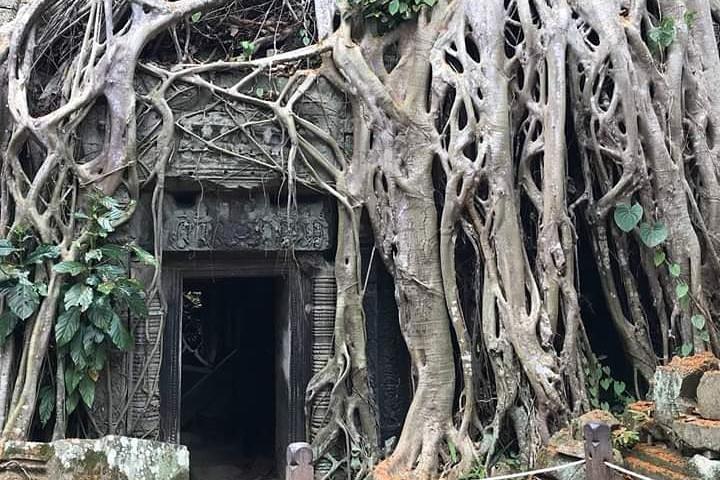 Private Tour By Car ( Angkor Wat Complex + Sunrise )