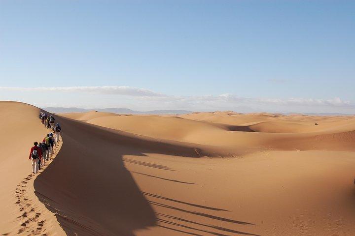 Abu Dhabi Quad Bike Desert Safari with 4W Dune Bashing & Off Road Adventure