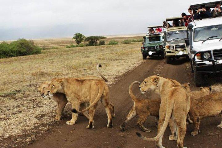 4 Days Masai Mara Lodge Safari on 4x4 Land Cruiser Jeep