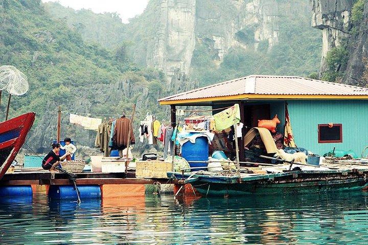Private Halong Bay In Day