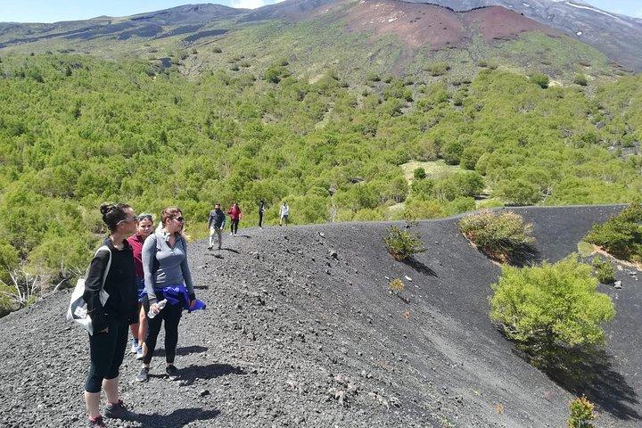 Etna, Wine and Alcantara Tour - From Taormina