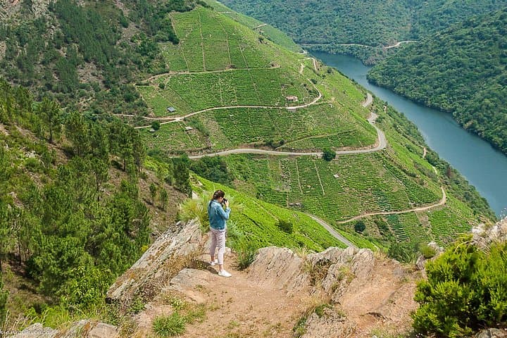 Ribeira Sacra, "Heroic Wines" Private Tour from Santiago/Vigo