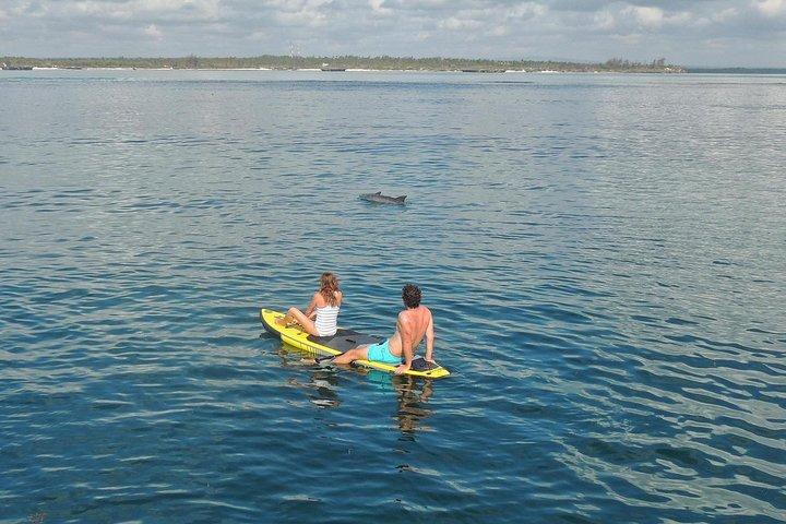 Watamu Marine Park & Sudi Island Mangrove Forest Canoe Ride.With sea food lunch