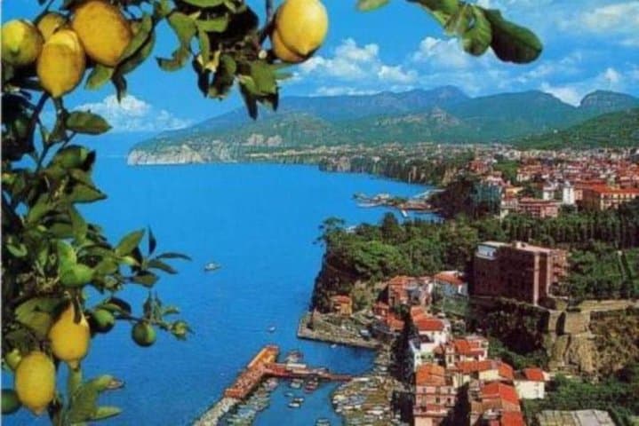 Shared tour Positano Sorrento and Pompeii