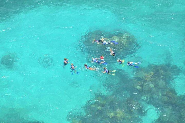 Snorkeling Adventure at Isla Mujeres Includes Lunch and Open Bar