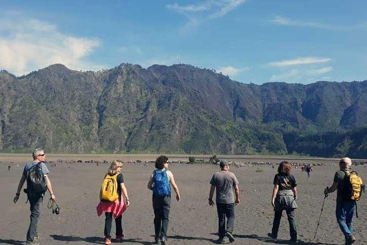Bromo sunrise tour via Tumpang - start Malang // 1 day tour