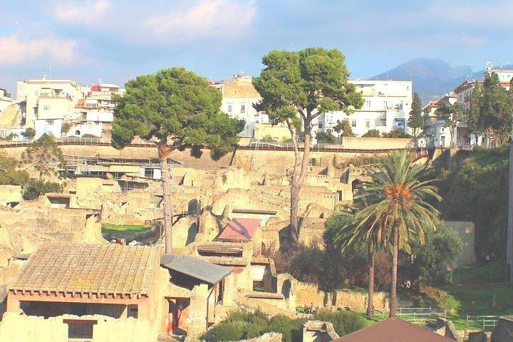 Herculaneum Ruins Private Tour with Skip the Line Tickets and Local Guide