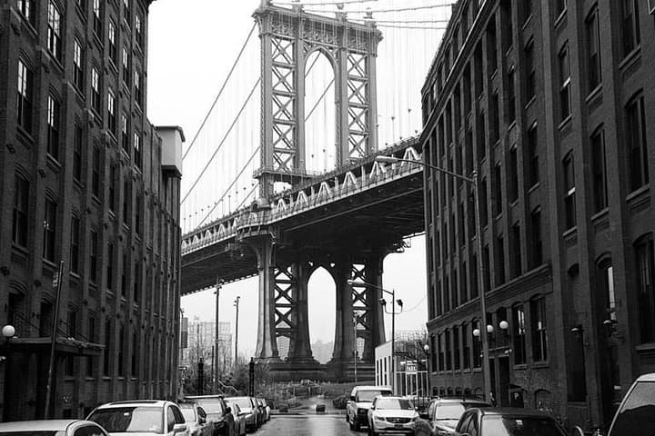 Private Brooklyn Walking Tour: Brooklyn Bridge DUMBO and Brooklyn Heights