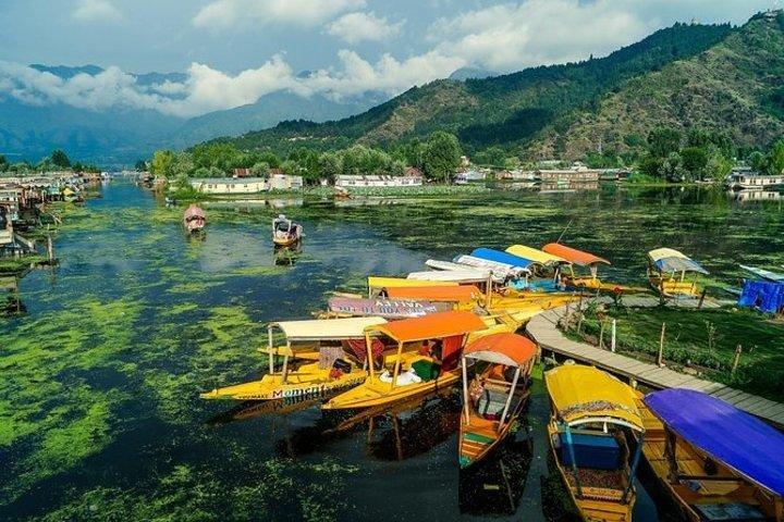 5-Days Kashmir tour includes Accommodation and Private Transportation