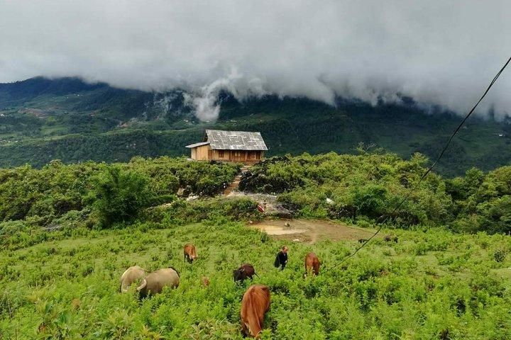 Package Tour Halong and Sapa