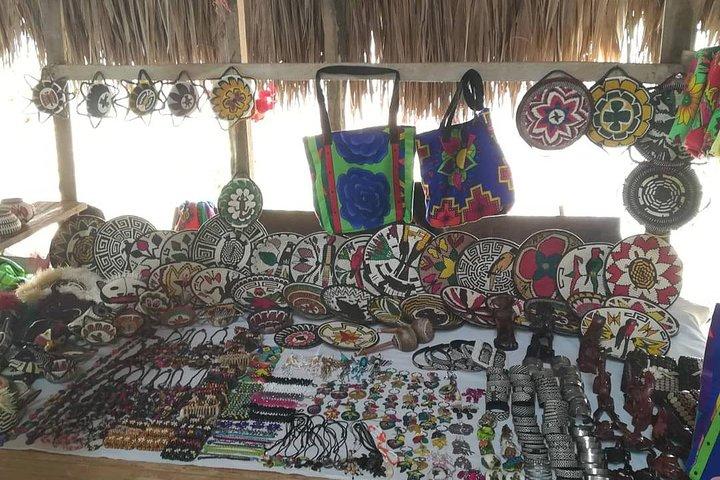 Private Embera Village waterfall visit with Lunch included