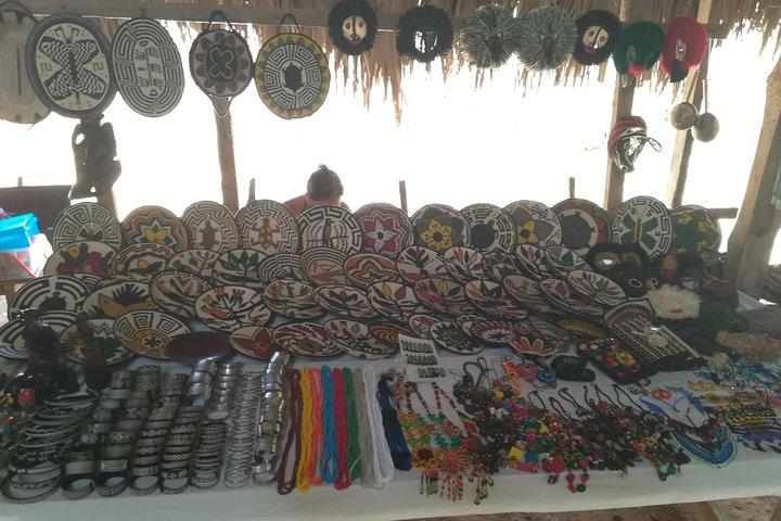 Private Embera Village waterfall visit with Lunch included