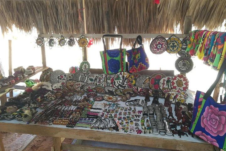 Private Embera Village waterfall visit with Lunch included