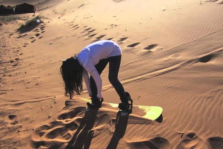 Early Morning Desert Safari Camel Ride, Sandboarding Falcon Photo