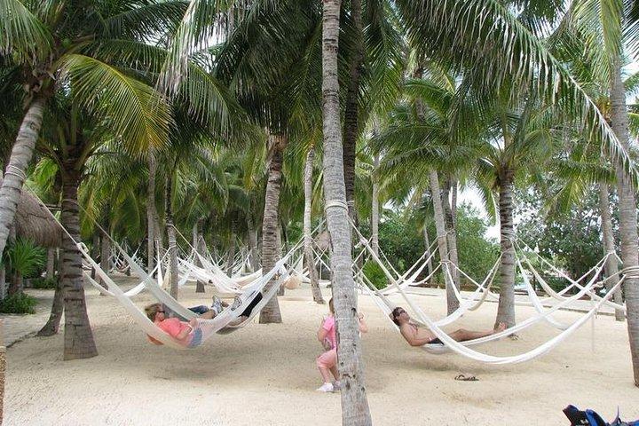 Xel Ha Park Snorkeling & Buffete & Open bar only from Cancun