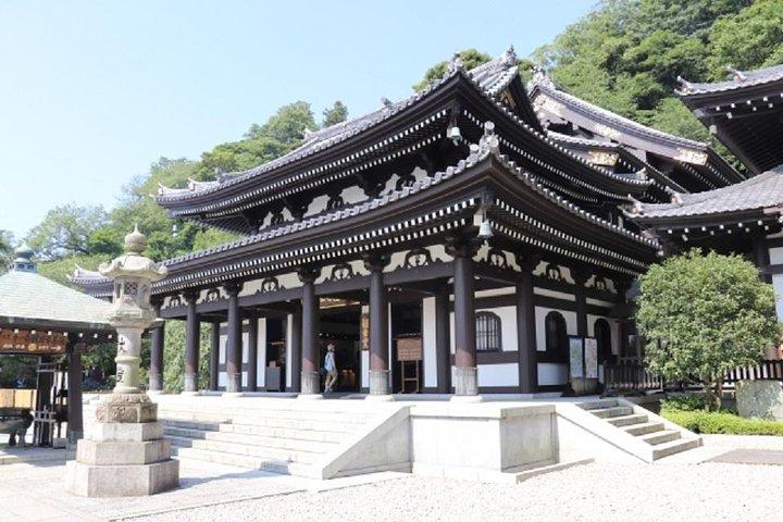 Kamakura Bamboo Forest and Great Buddha Private Tour
