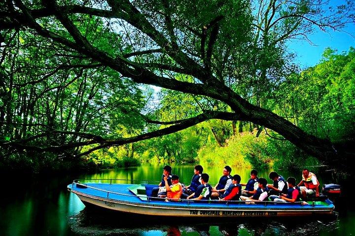 Bintan Mangrove Discovery Tour
