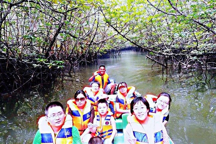 Bintan Mangrove Discovery Tour
