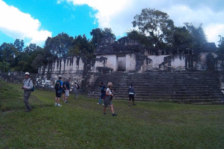 Tikal Day Trip with Local Lunch from San Ignacio