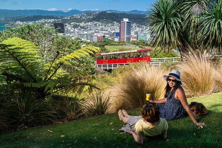 Wellington City to Coast Highlights Tour (with Lunch)