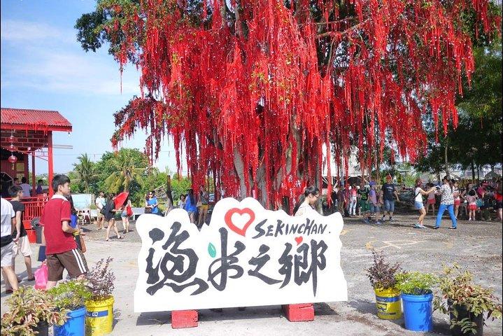 Sekinchan Paddy Fields, Fishing Village & Redang Beach Tour