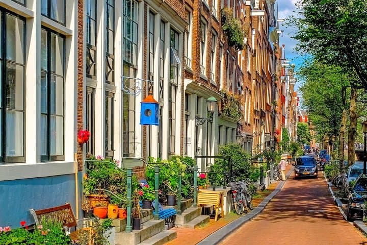 Private Tour: Amsterdam City Walking Tour and Canal Cruise
