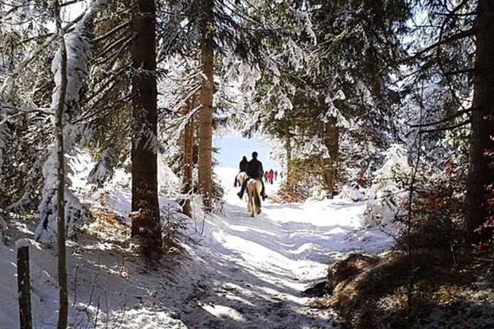 Horse Riding in Bled