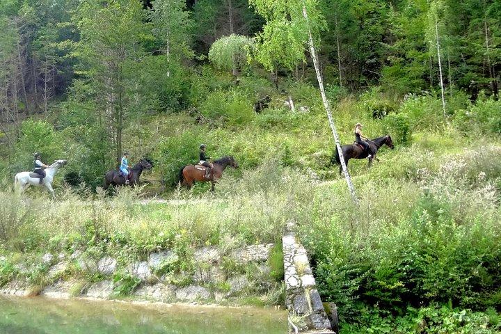 Horse Riding in Bled
